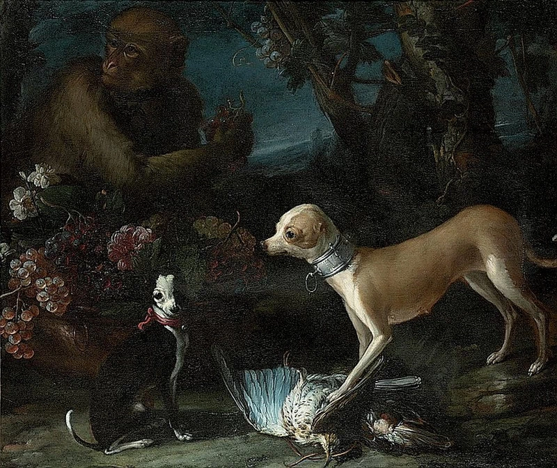 Candido - Due cani, una beccaccia, una scimmia con in mano un grappolo d'uva